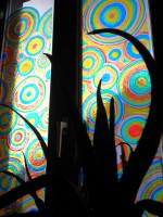 /album/fotogalerie/fenster-westseite-mit-aloe-vera-jpg2/